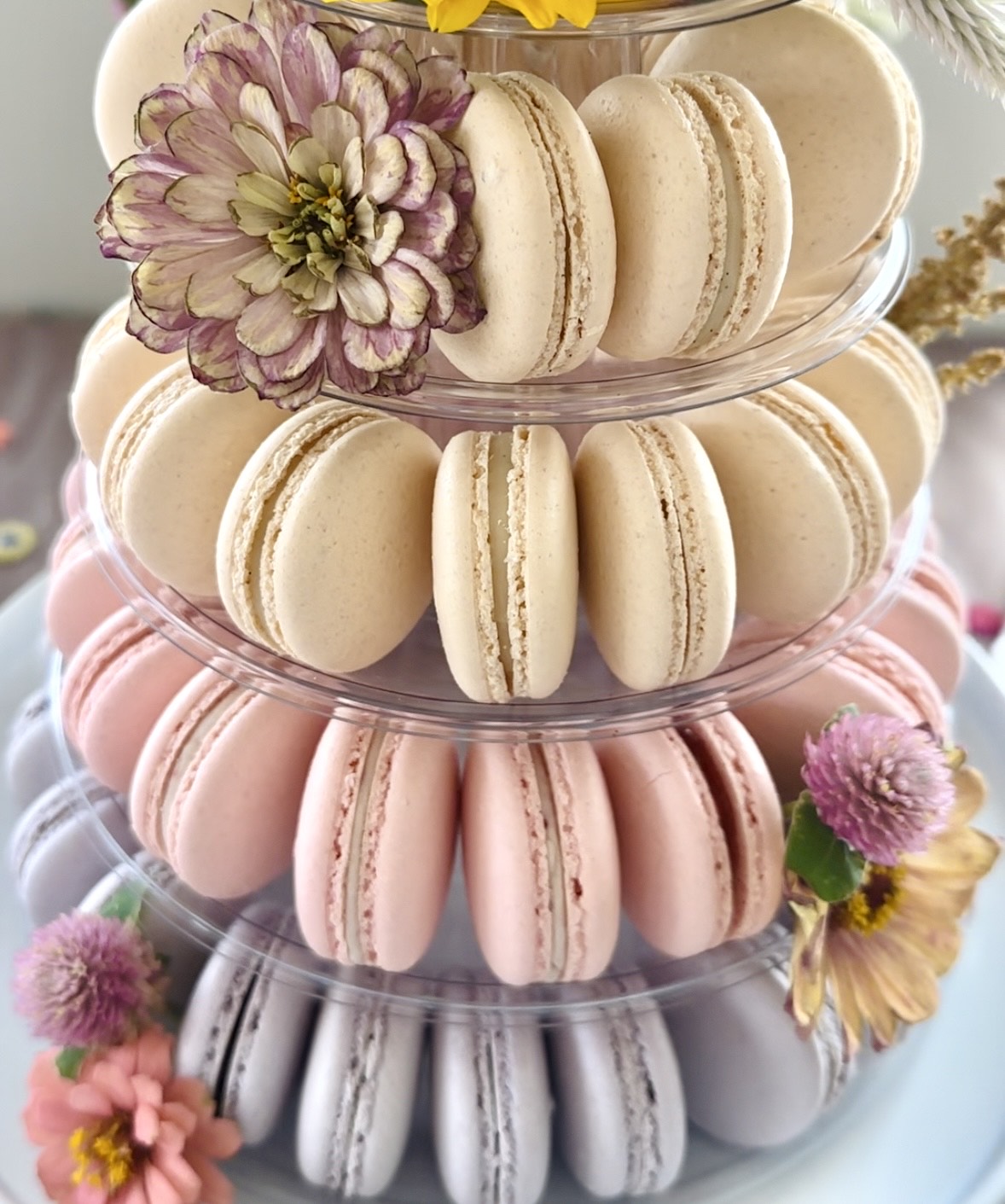 Macaron Tower & Pyramids